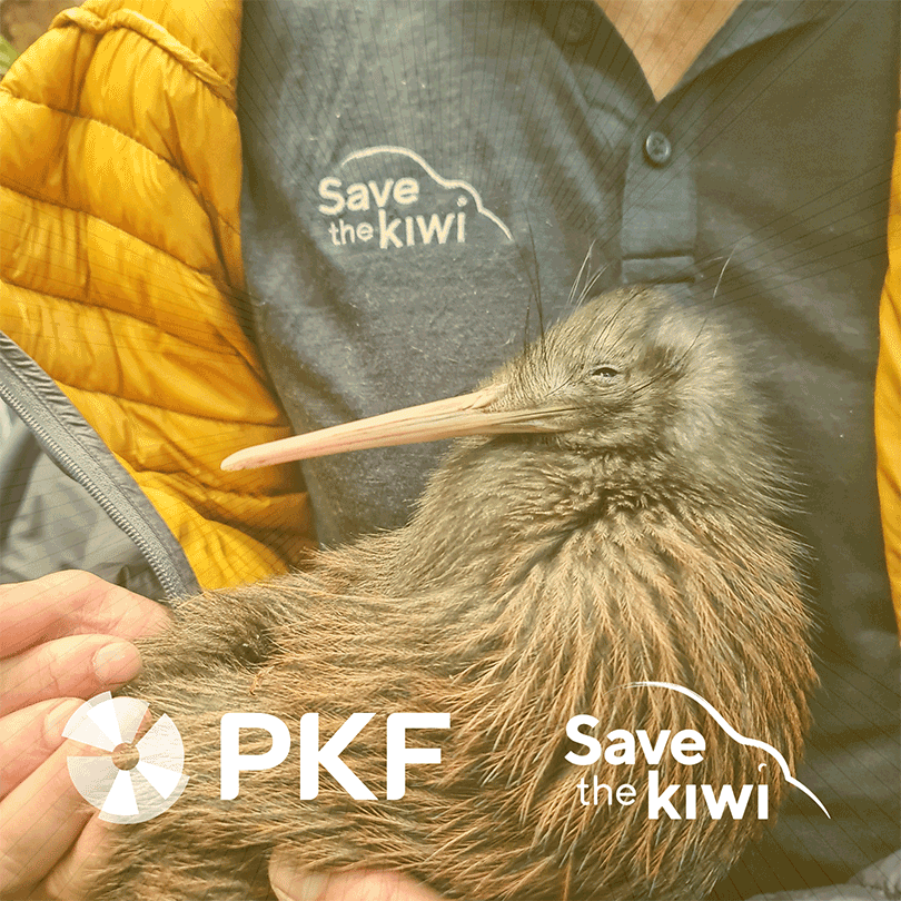 Save the Kiwi & PKF New Zealand