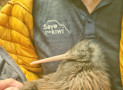 Save the Kiwi & PKF New Zealand